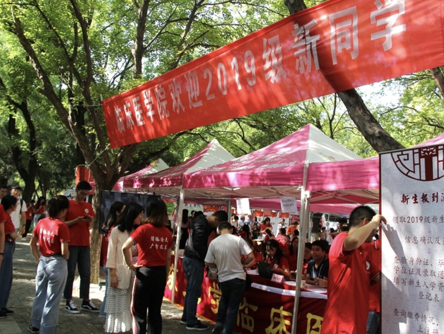 山东高考分数线公布，梦想与现实的交汇