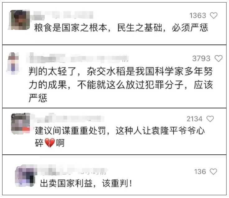 网红为卖种子诋毁杂交水稻，居心何在？