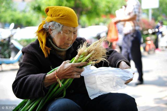 卖菜老人获博主帮助后遇车祸去世，一抹温暖的记忆