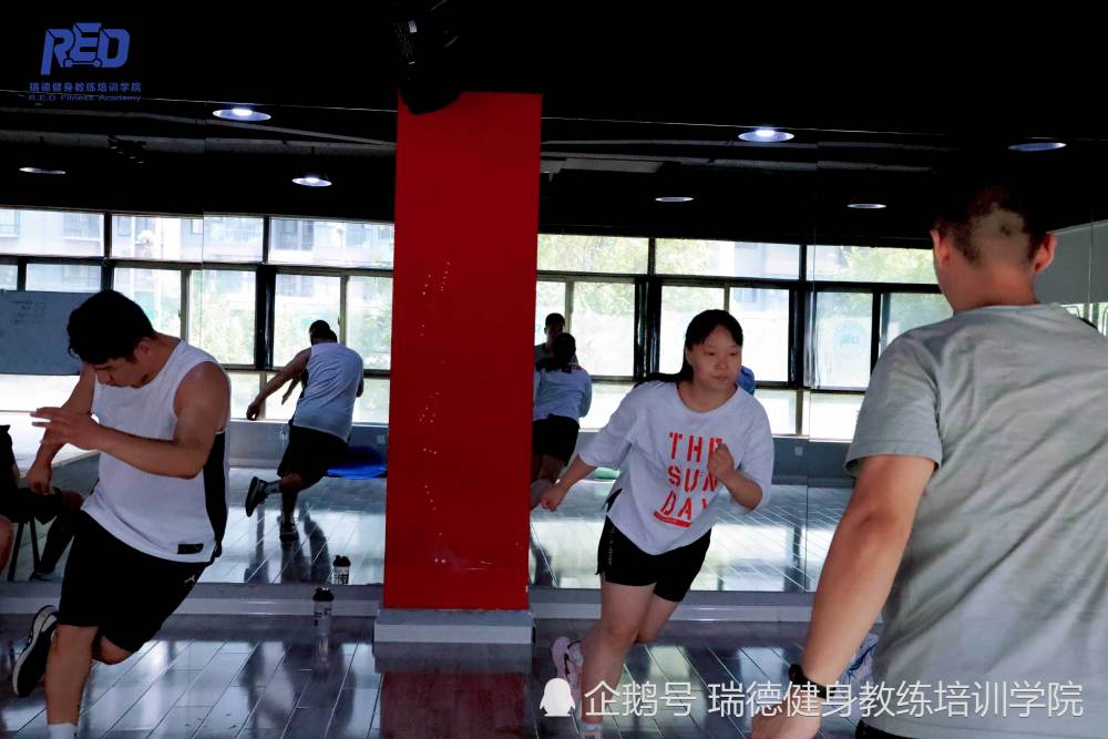 爵士教练和钢管教练哪个好？一个普通人的真实对比