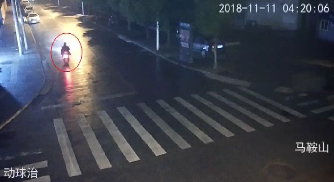 家庭夏夜奇遇，全家出动抓知了猴，一晚收入数百