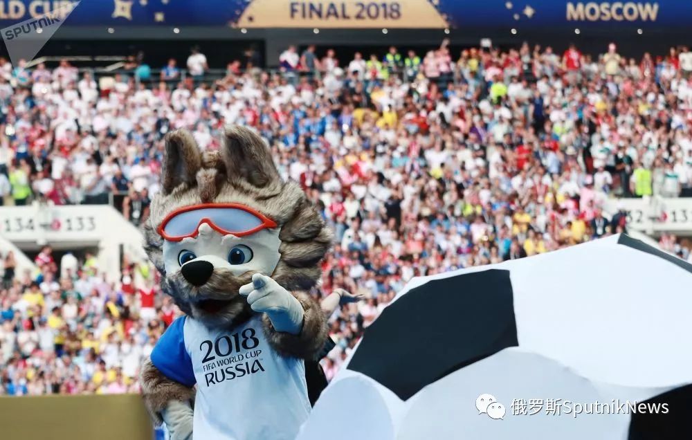 2018年世界杯吉祥物是什么动物?聊聊那只让全世界记住的扎比瓦卡 2018年世界杯吉祥物是什么动物?聊聊那只让全世界记住的扎比瓦卡