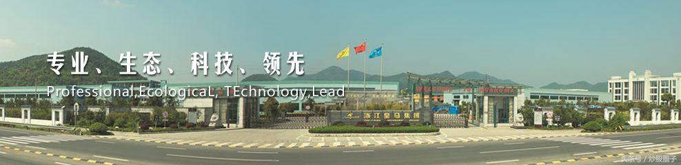 皇马科技股票分析，一家特种表面活性剂龙头的投资逻辑